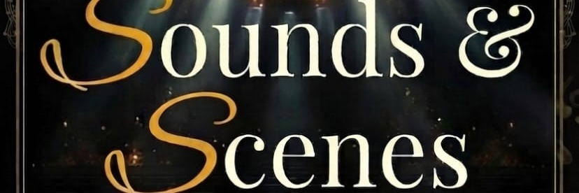 Sounds and Scenes Musical Concert