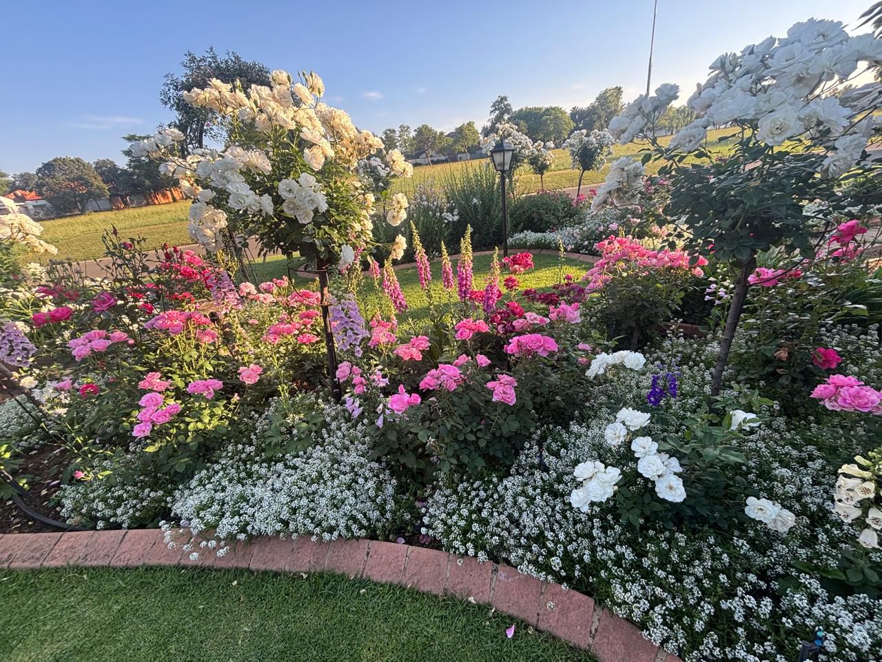 Boksburg Open Gardens 2026 - A Garden Affair