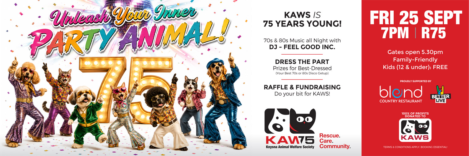 KAWS 75 Anniversary Celebration