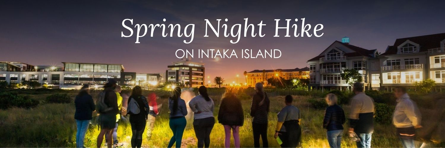 Spring Night Hike on Intaka Island