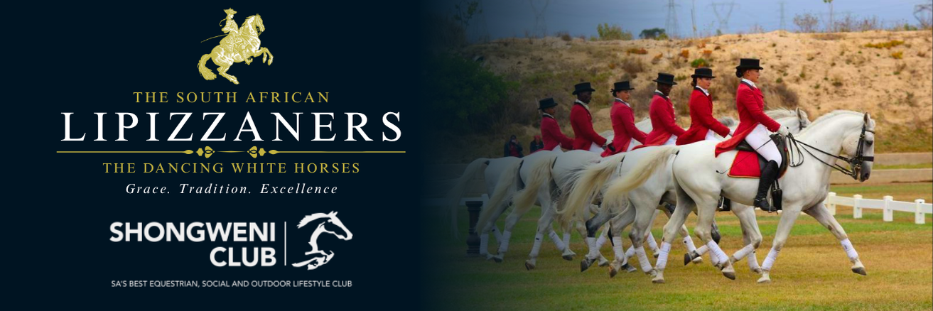 Lipizzaners in Shongweni