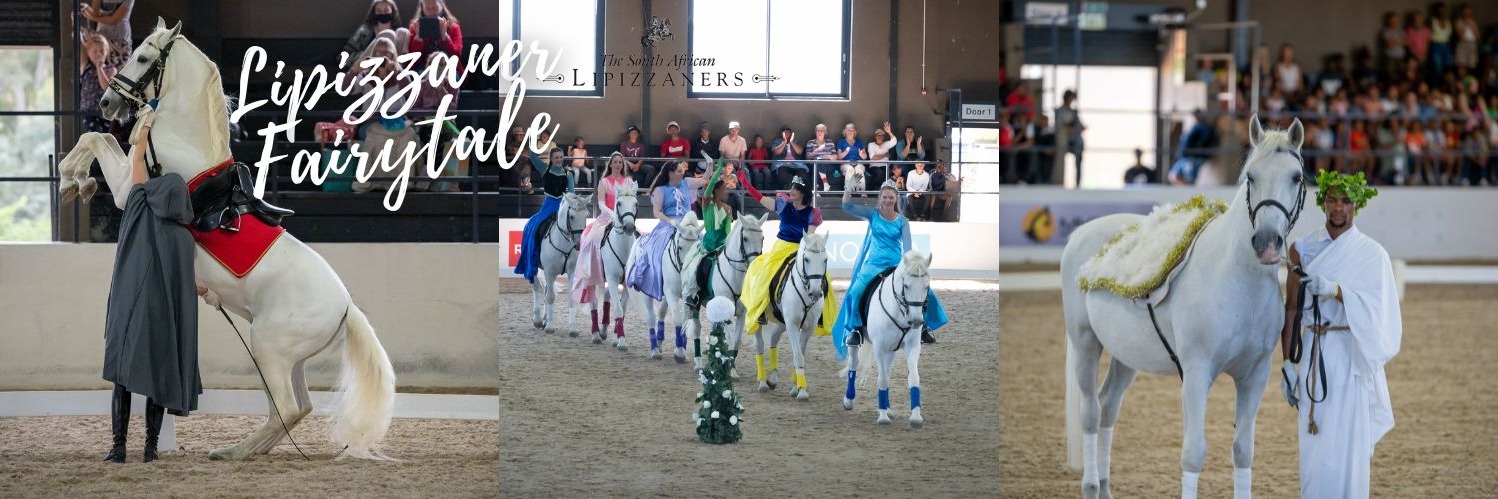 A Mistico Spring Spectacular with the South African Lipizzaners 