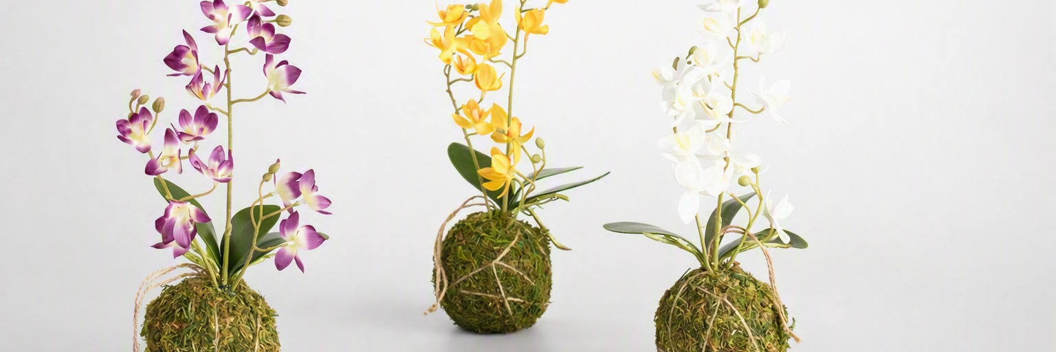 Art of Orchids at Linden Market — A Botanical Experience by LND Living