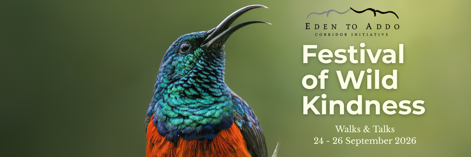 Festival of Wild Kindness