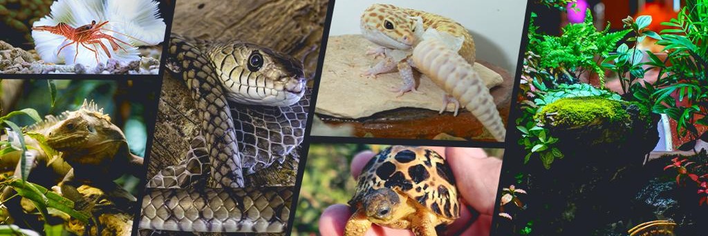 Knowledge in Nature Expo 2026 Durban