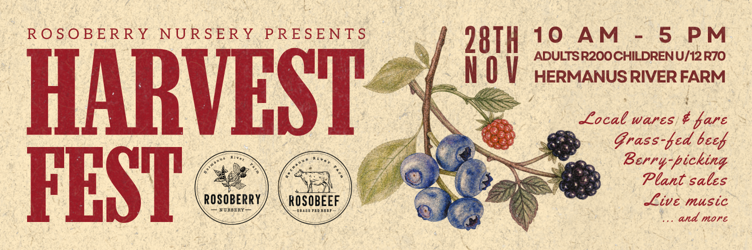 Rosoberry Harvest Fest 2026