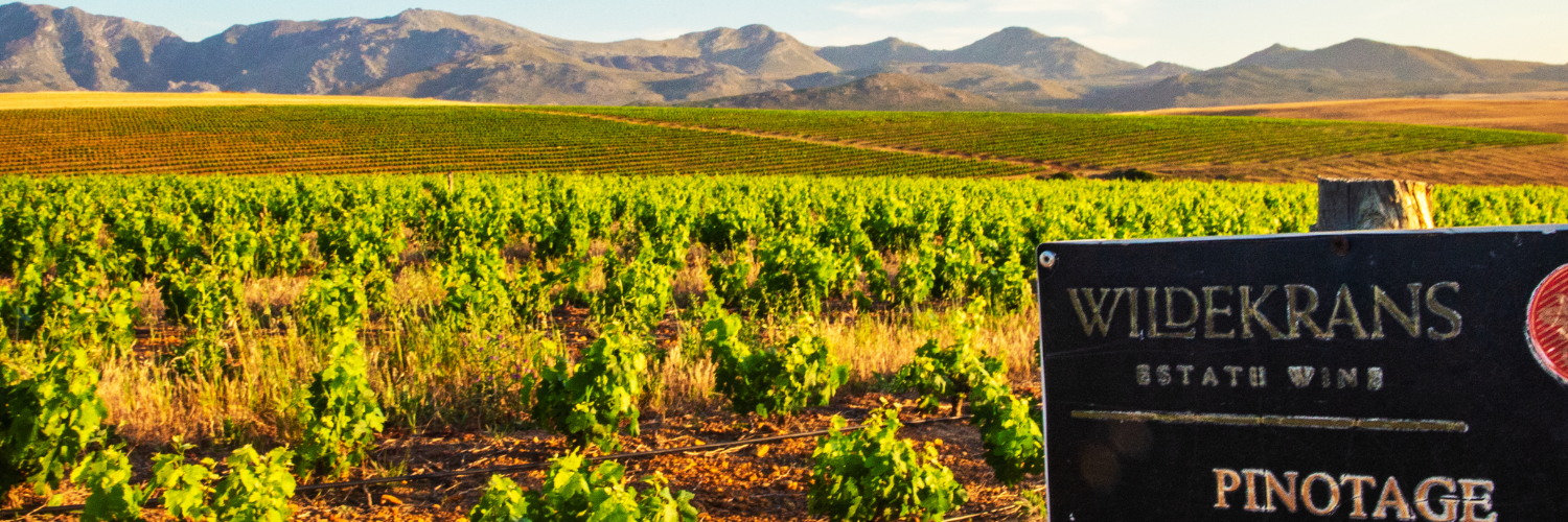 Wildekrans Wine Estate - People, Pets & Pinotage Festival (Saturday 10 October)