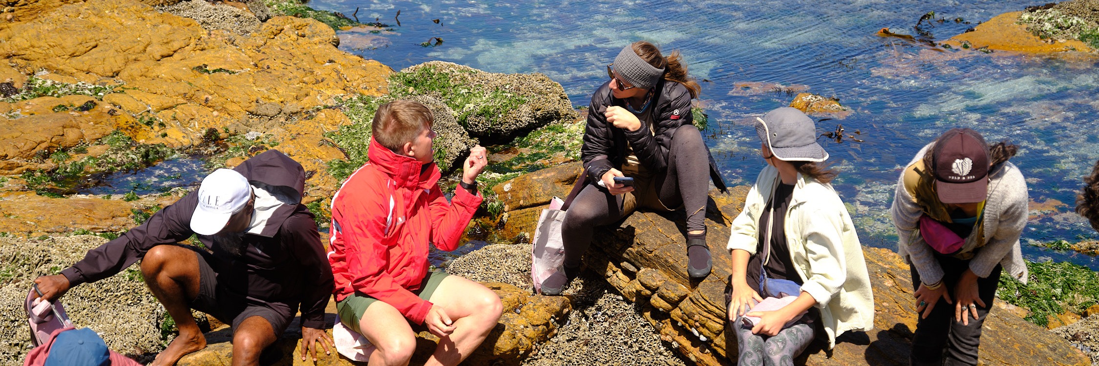 Coastal Forage Experience with Veld & Sea - 9 December