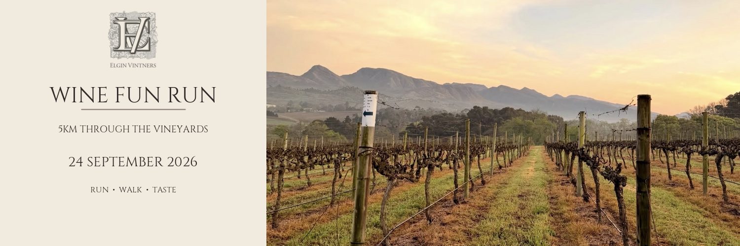 Elgin Vintners Wine Fun Run – 5km Through the Vineyards