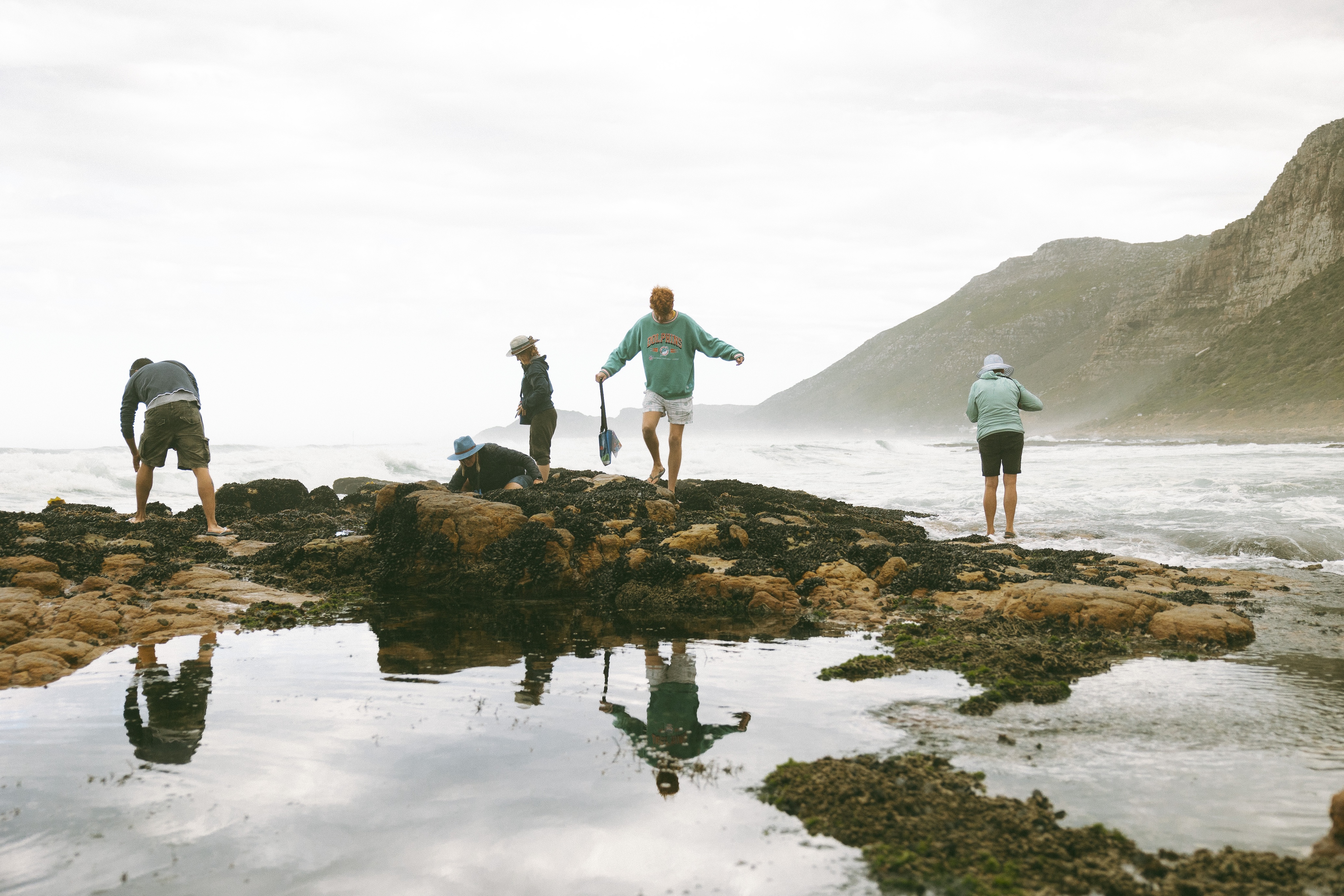 Coastal Forage Experience with Veld & Sea - 6 February