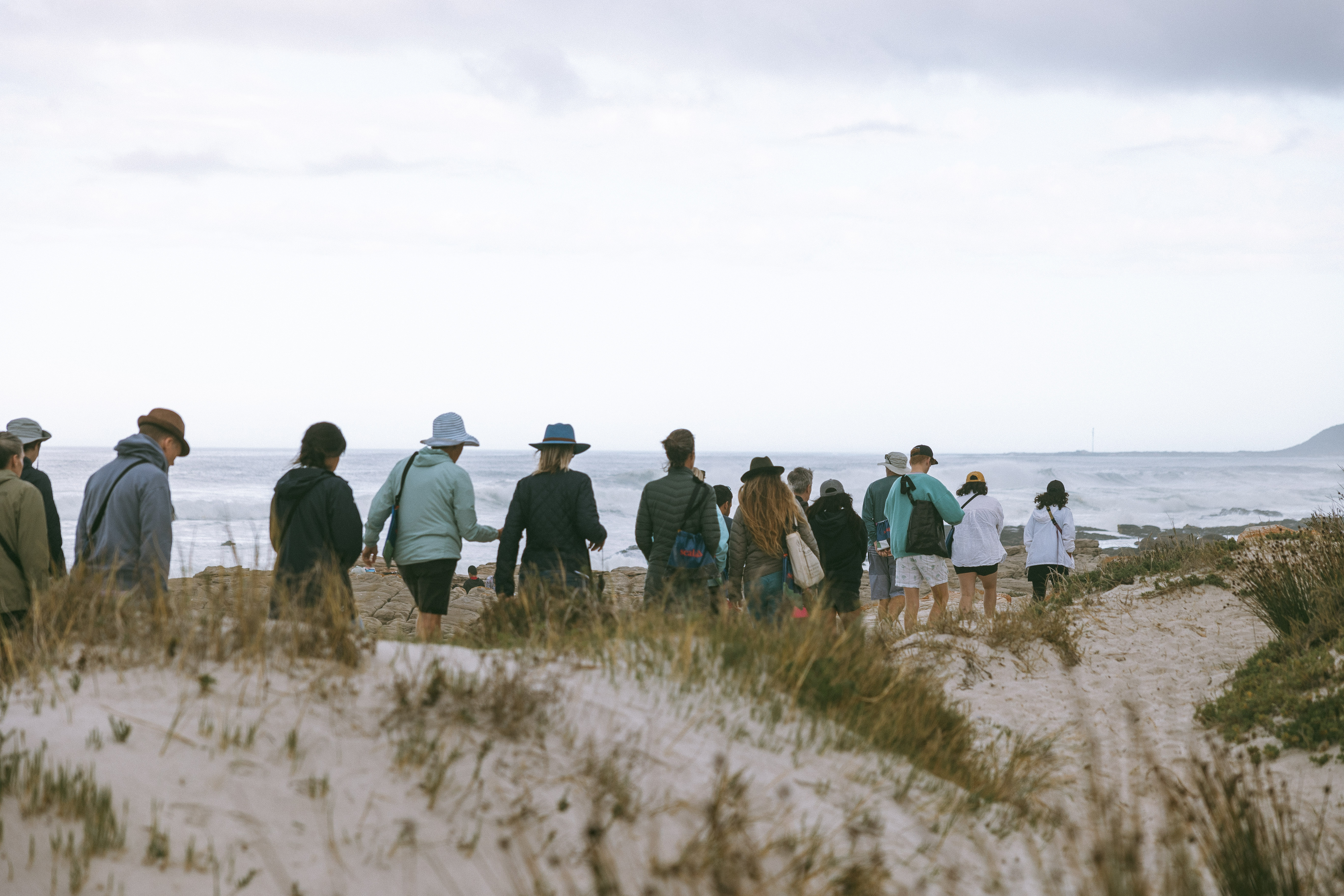 Coastal Forage Experience with Veld & Sea - 10 January