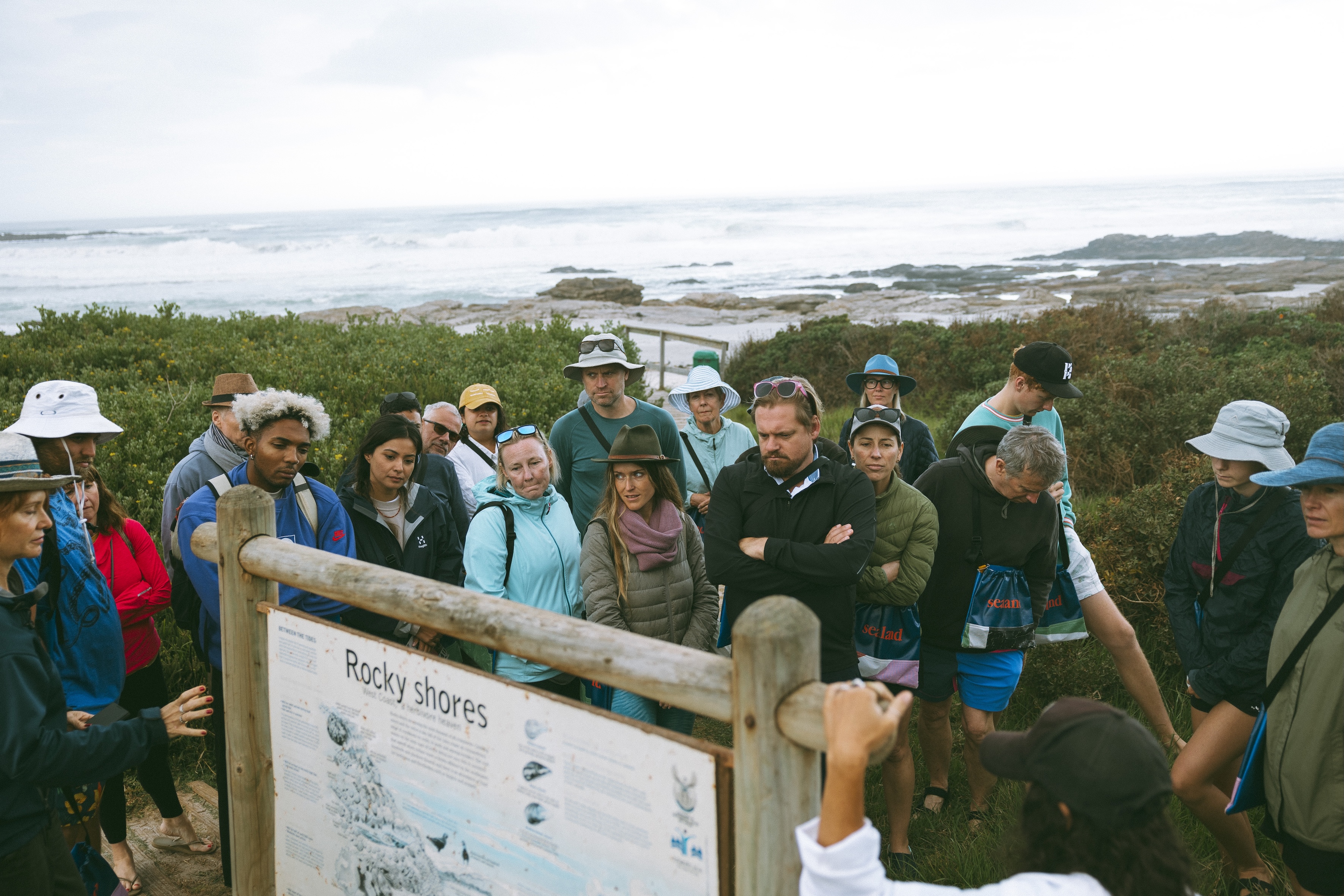 Coastal Forage Experience with Veld & Sea - 23 January