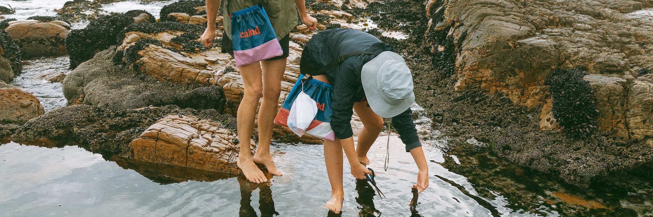 Coastal Forage Experience with Veld & Sea - 24 January