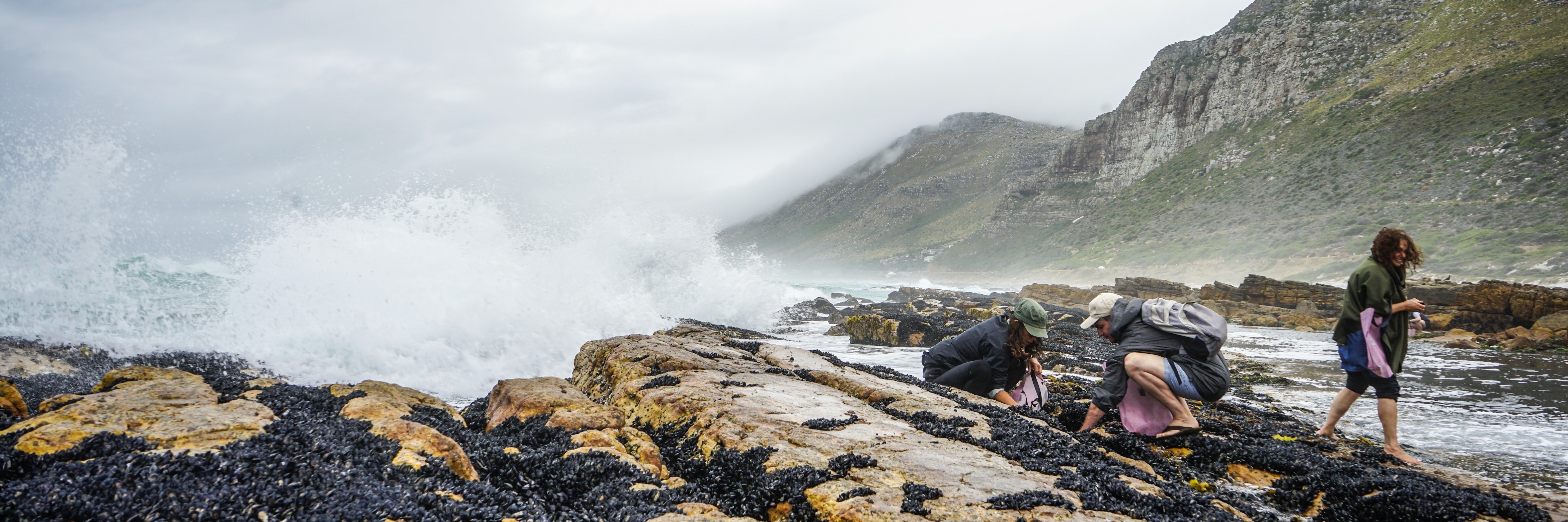 Coastal Forage Experience with Veld & Sea - 9 January
