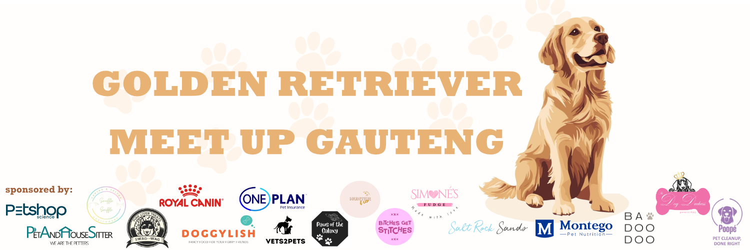 Golden Retriever Day