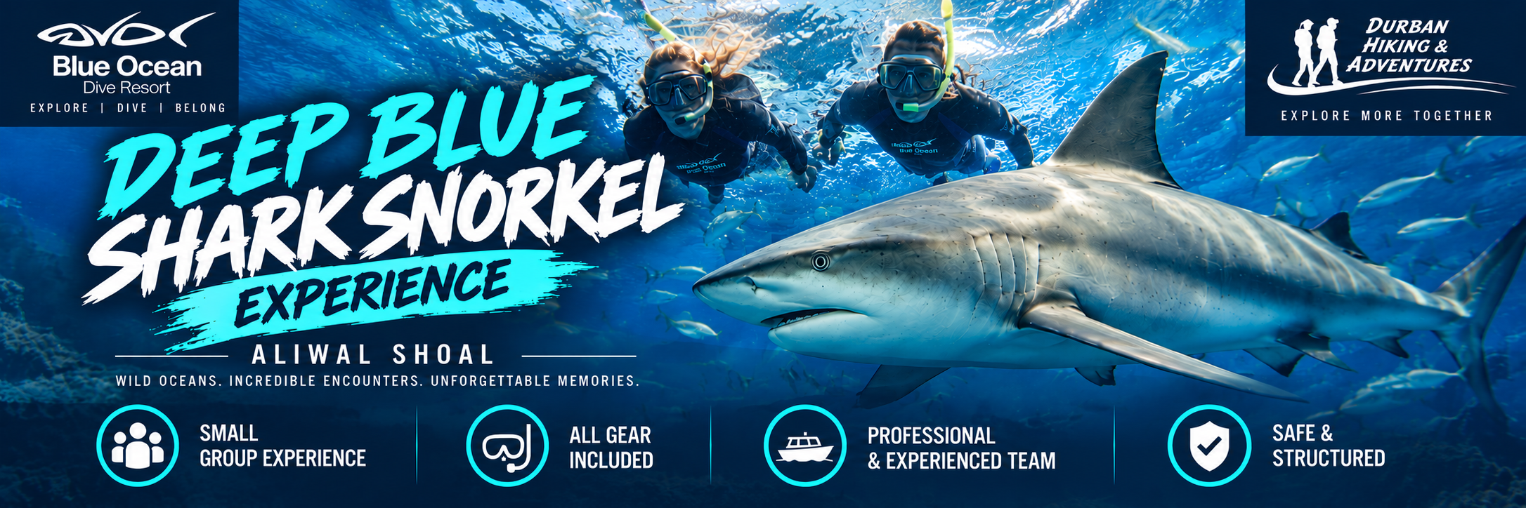 Deep Blue Shark Snorkel Experience