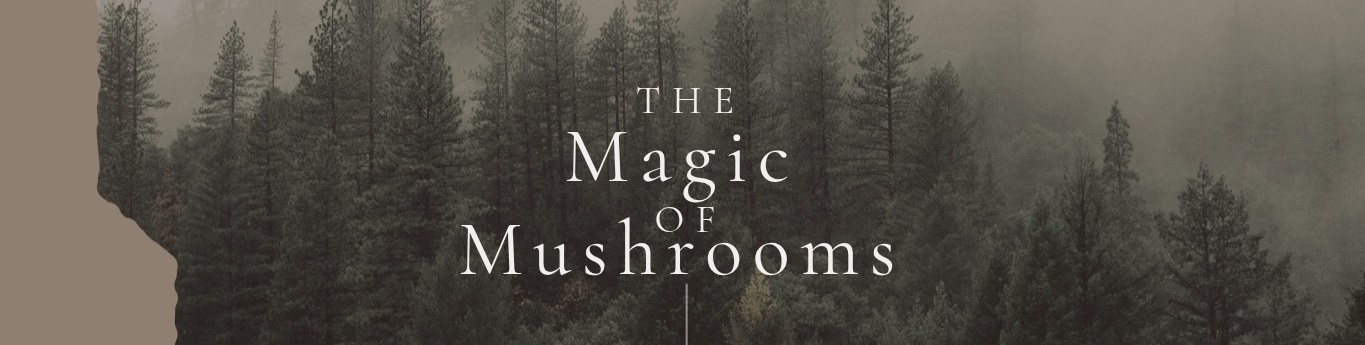 The Magic of Mushrooms 2026