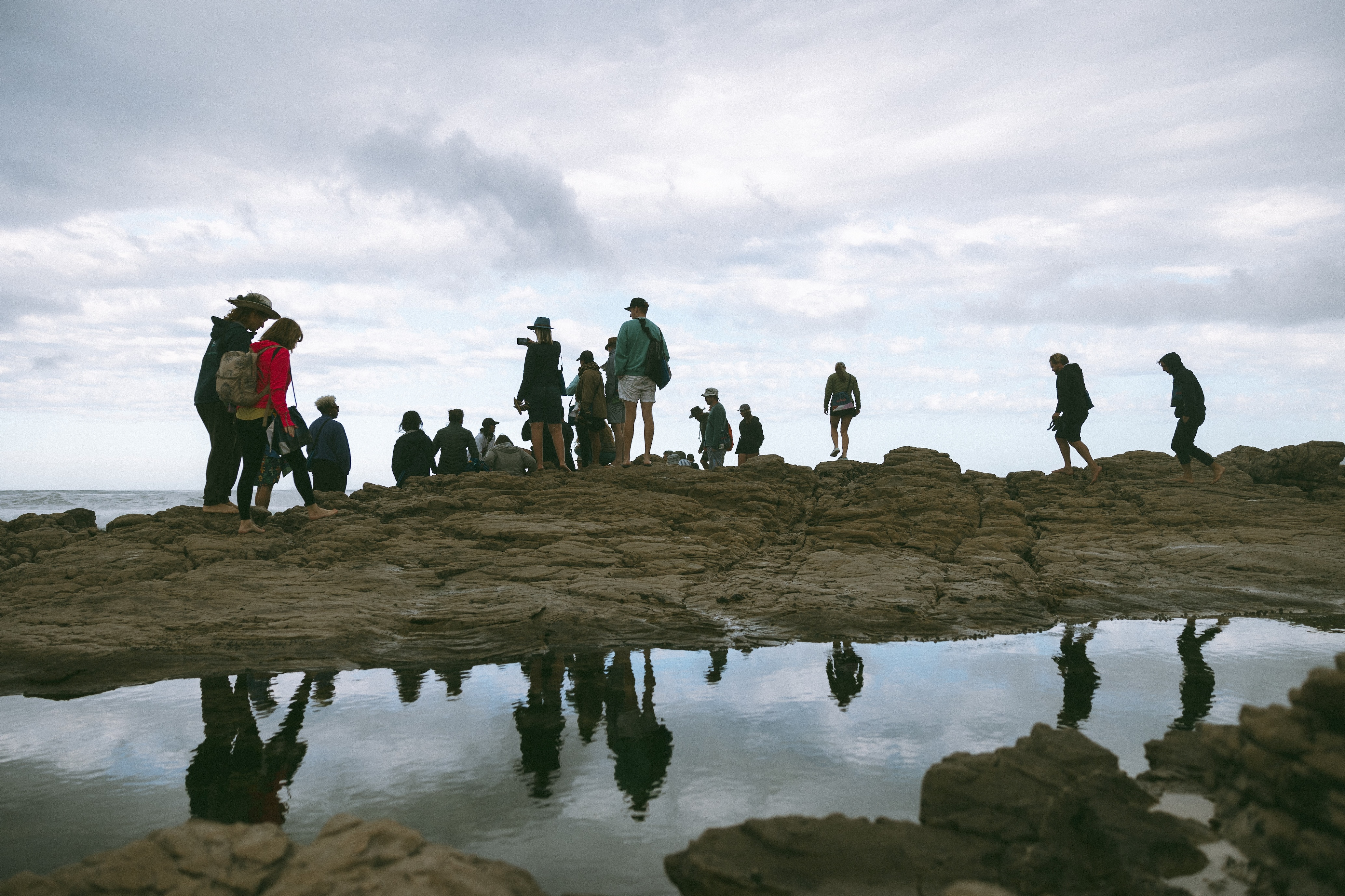 Coastal Forage Experience with Veld & Sea - 7 March