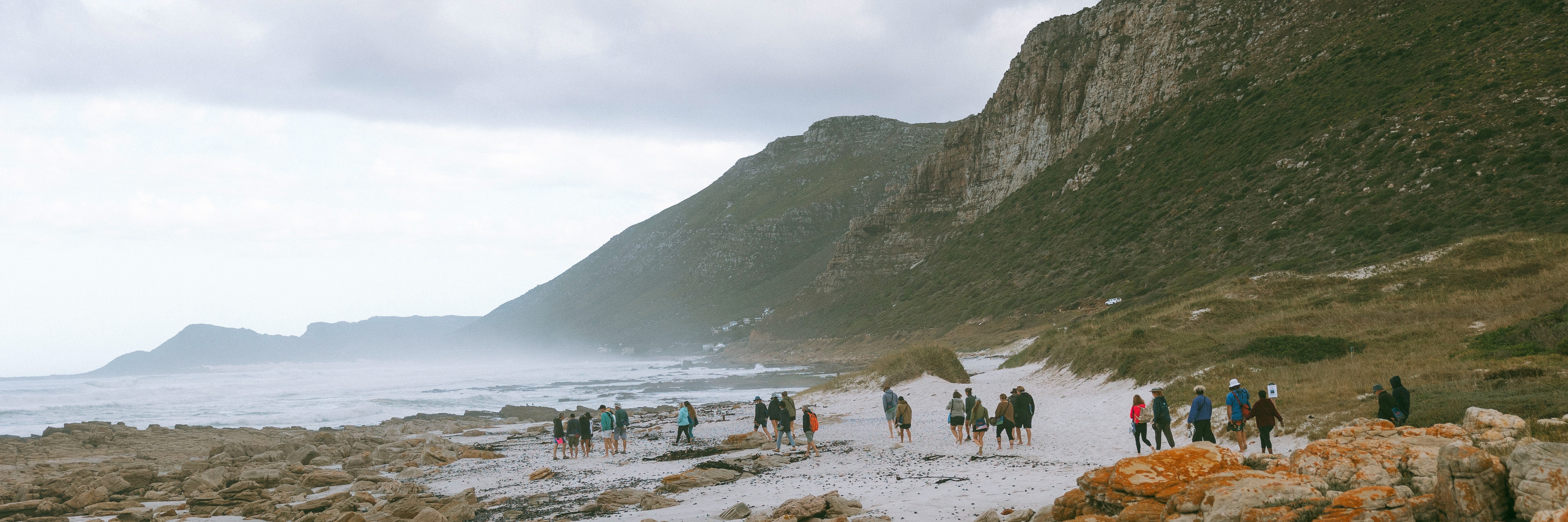 Coastal Forage Experience with Veld & Sea - 20 March