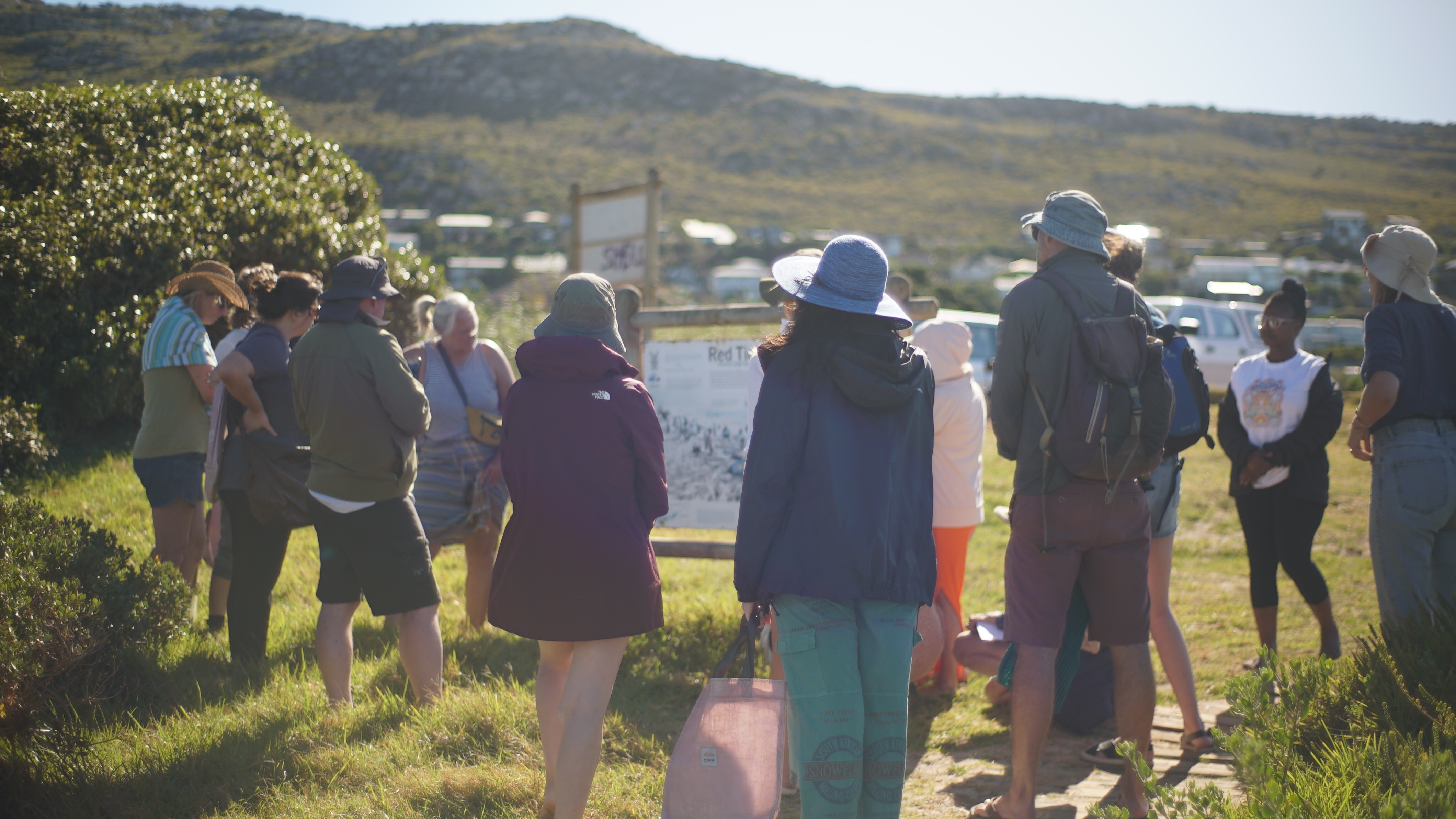 Coastal Forage Experience with Veld & Sea - 21 March