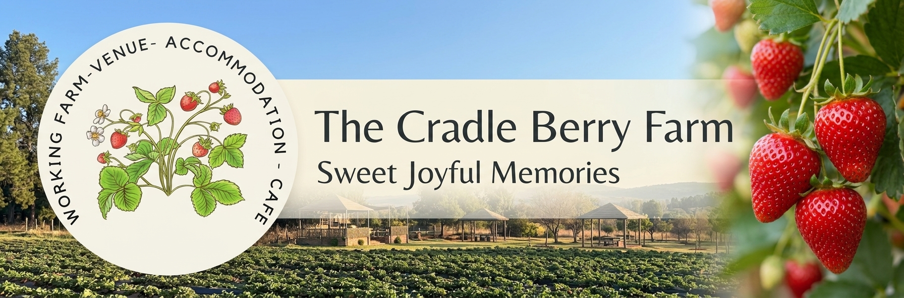 Strawberry Picking Season 2026 – The Cradle Berry Farm