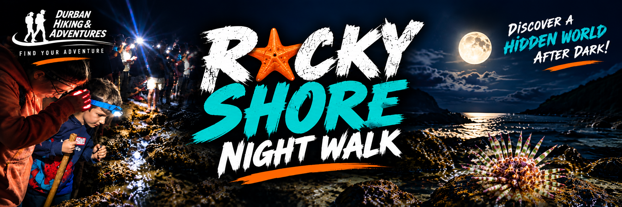 Rocky Shore Night Walk