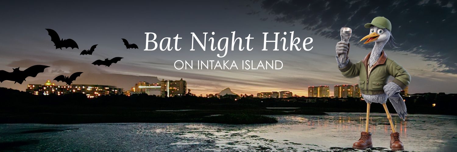 Bat Night Hike on Intaka Island