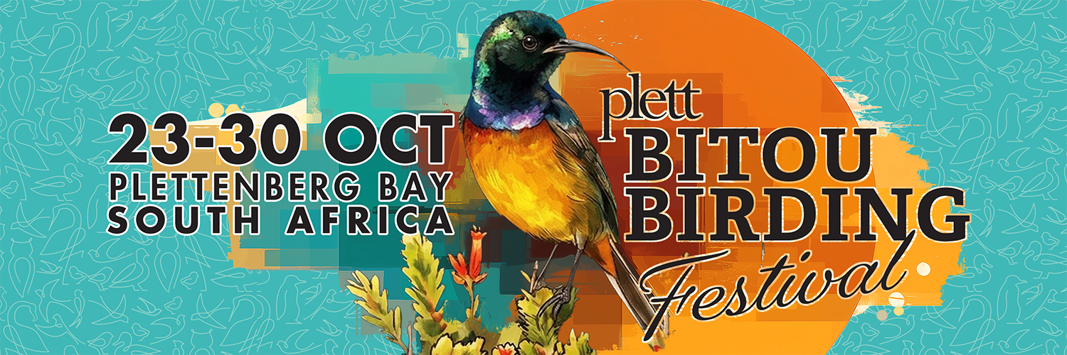 Bitou Birding Festival 2026: Slow Down, Look Up, Reconnect