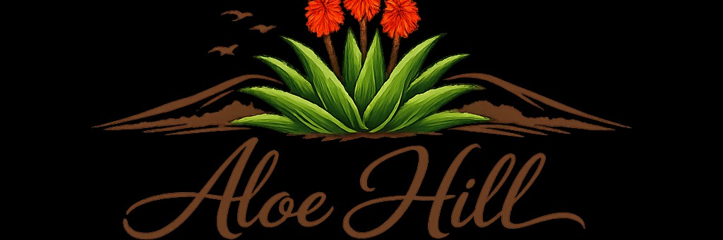 Liezel Pieters Live at Aloe Hill Venue