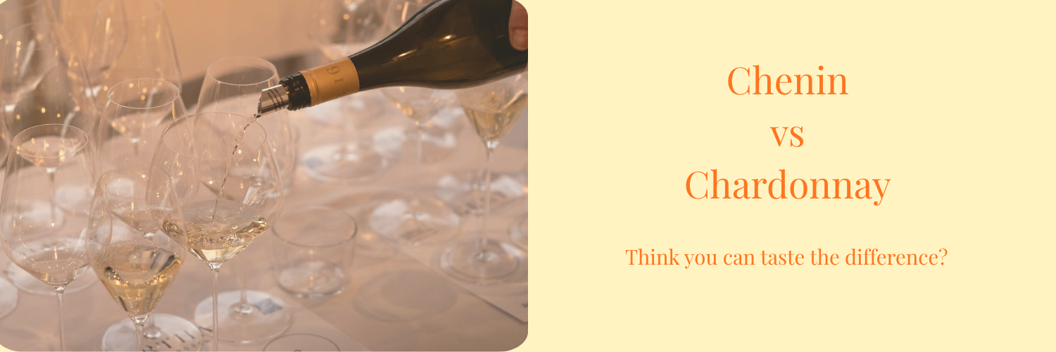 Bertha Blind Tasting: Chenin vs Chardonnay Edition