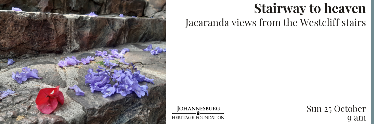 Stairway to Heaven - Jacaranda views from the Westcliff stairs