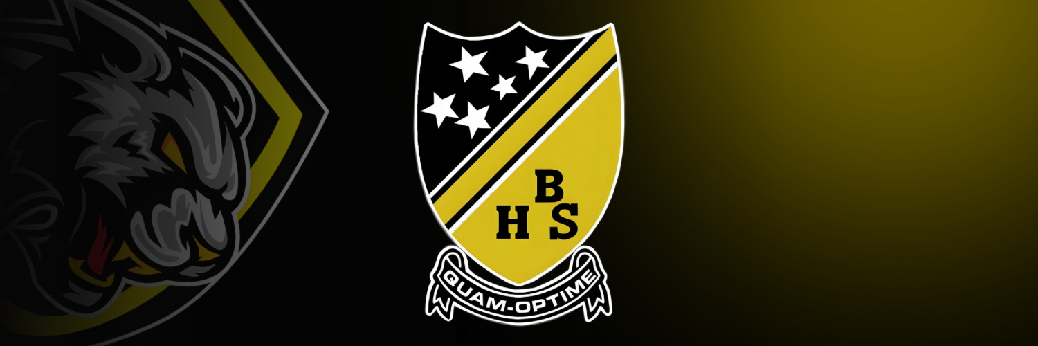 BHS International evening