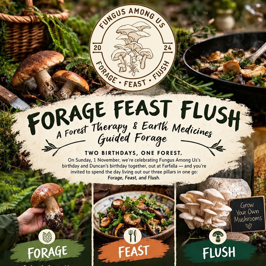Forage Feast Flush, a Forest Therapy and Earth Medicines Guided Forage