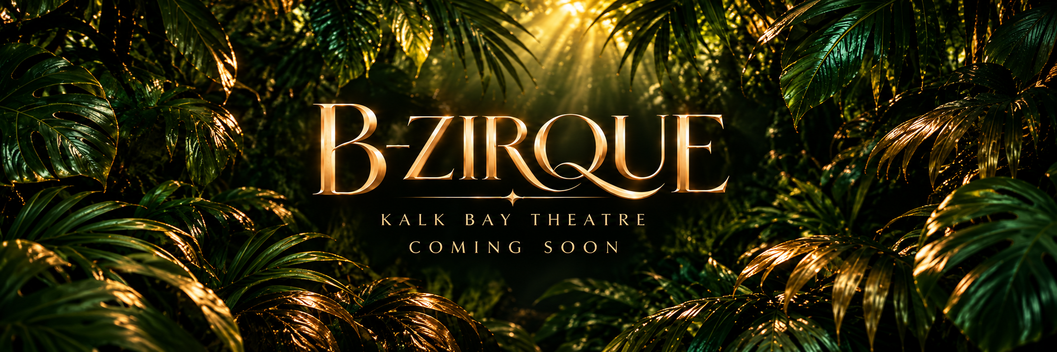B-ZIRQUE