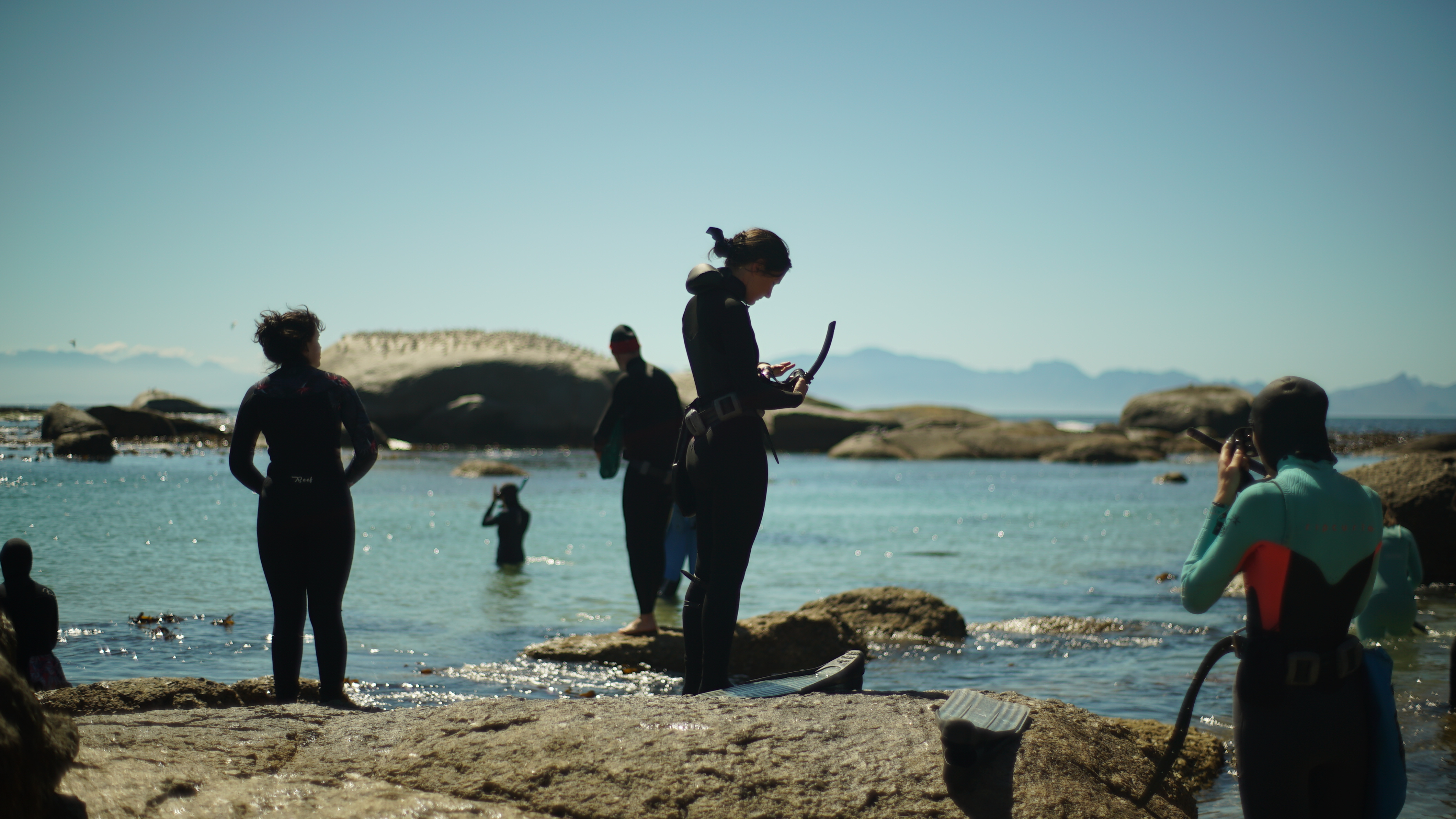 Free Dive Forage Adventure with Khoi Scouts and Veld & Sea - 19 December