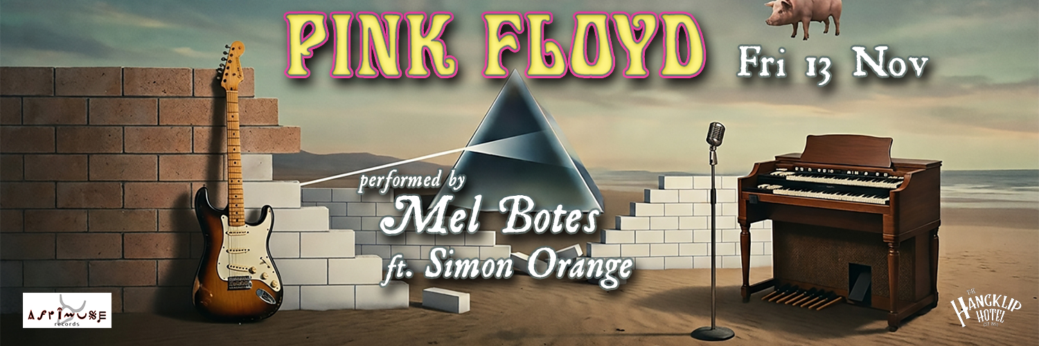 PINK FLOYD by Mel Botes ft.Simon Orange