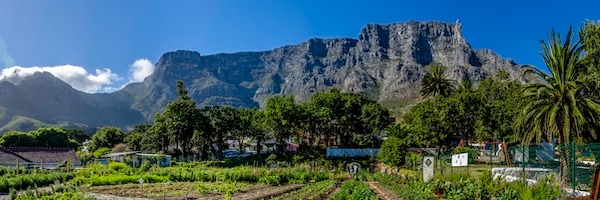 OZCF BEEKEEPING WORKSHOP