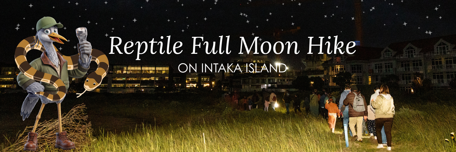 Reptile Full Moon Hike on Intaka Island