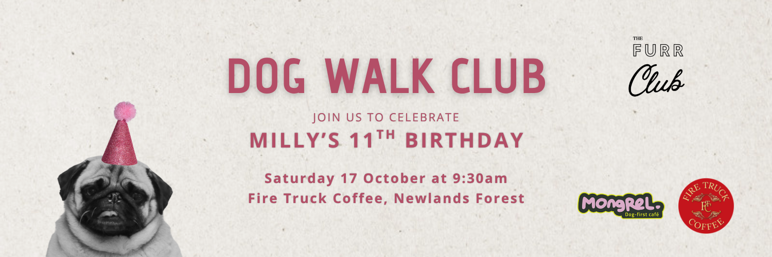 FURR Club Dog Walk: Milly's 11th Birthday