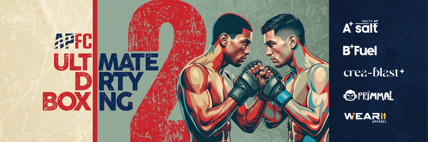 Ultimate Dirty Boxing 2