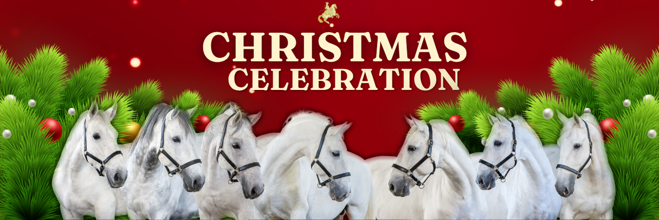 A Lipizzaner Christmas Celebration