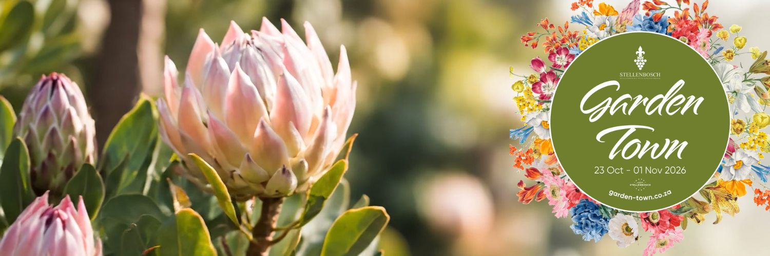 Devon Valley Vineyard Walk