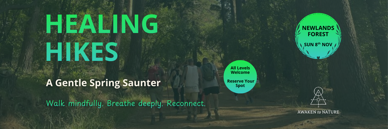 Healing Hike - Newlands Forest