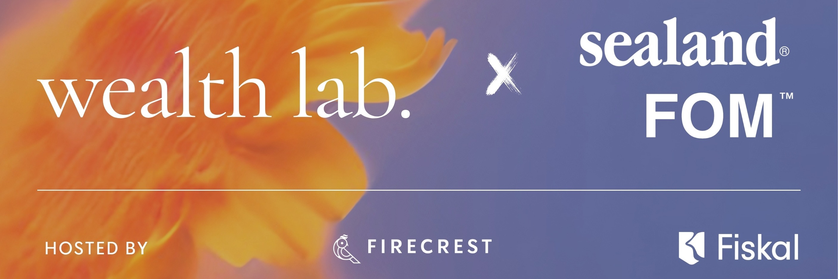 Wealth Lab V#4