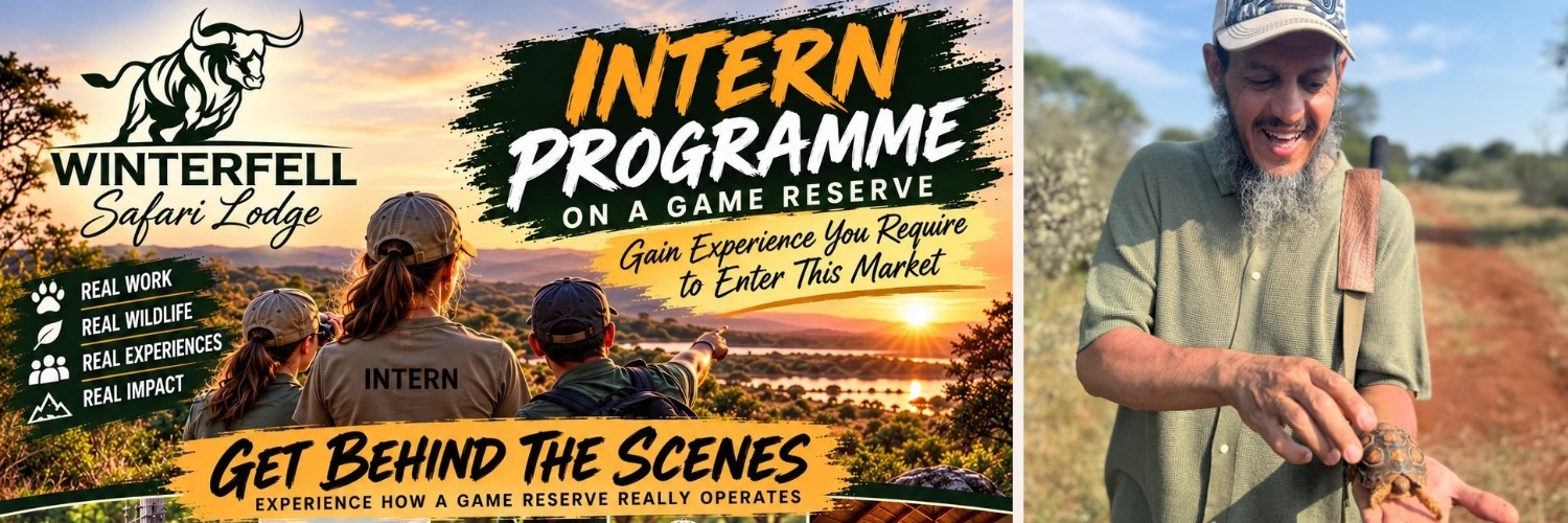 Internship Programme